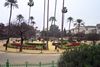 park