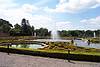 Water Garden