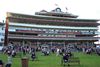 races
