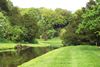 grounds