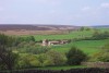 moors
