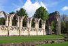 abbey ruins